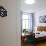 Cuba Bar&hostel