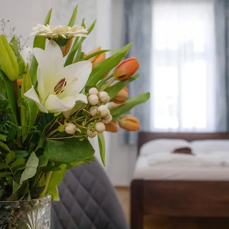 Cuba Bar & České Budějovice