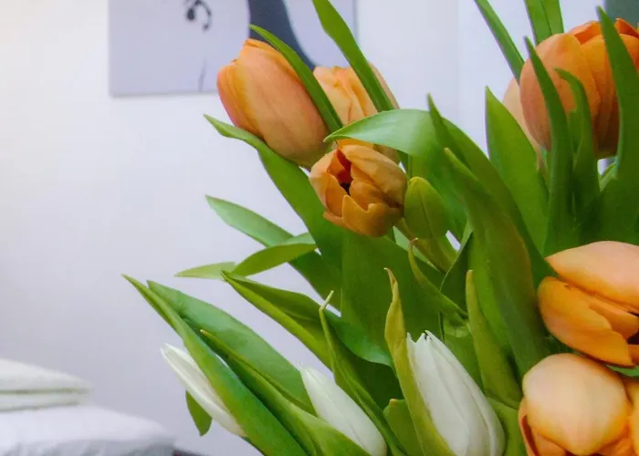 호스텔 Cuba Bar &