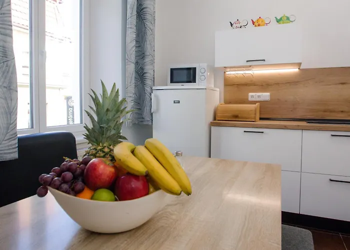 Cuba Bar & 호스텔 *