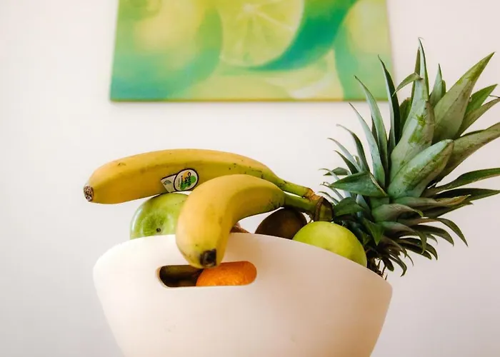 Hostal Cuba Bar & Ceske Budejovice